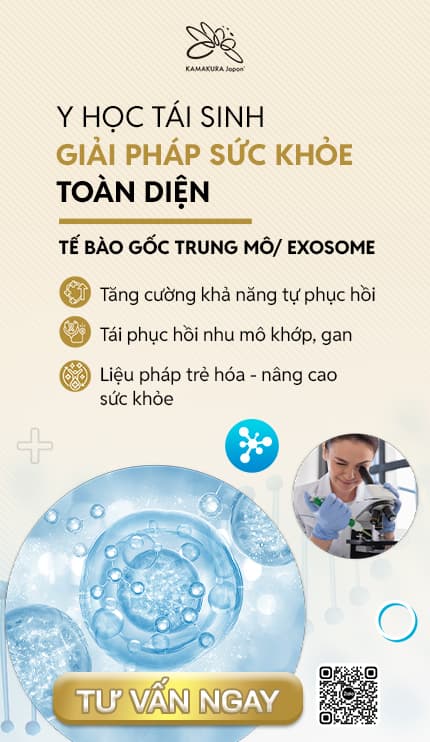Giải pháp hỗ trợ “Chăm sóc y tế quốc tế