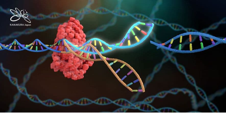 Chỉnh sửa gen bằng CRISPR - bước đột phá giúp nhắm trúng đích ung thư